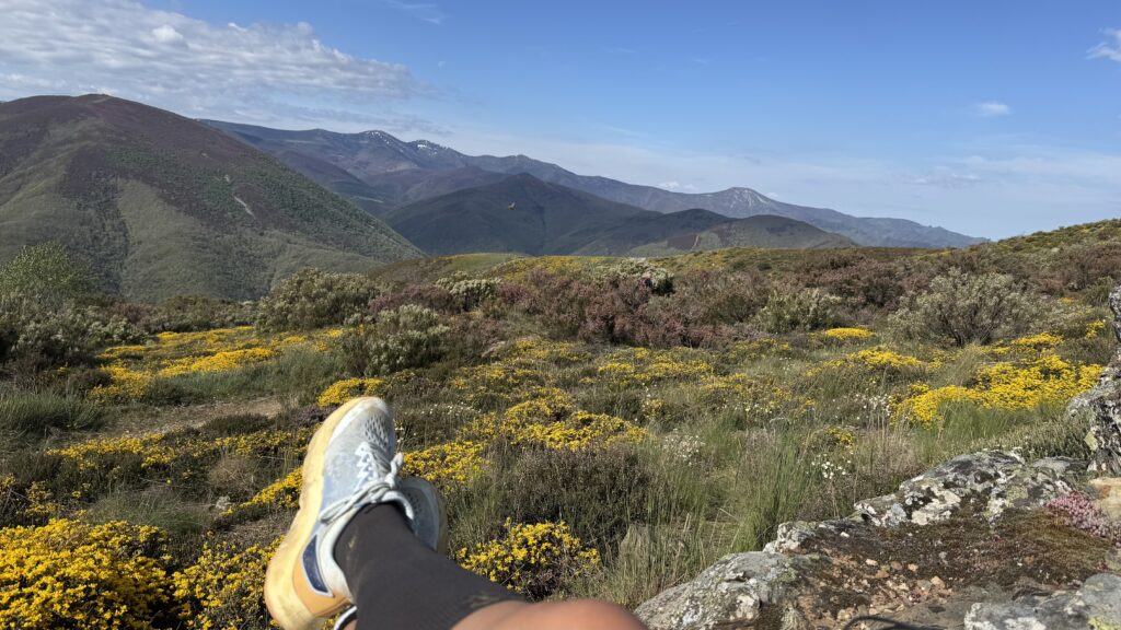 sigrid zwerft op de camino francés
