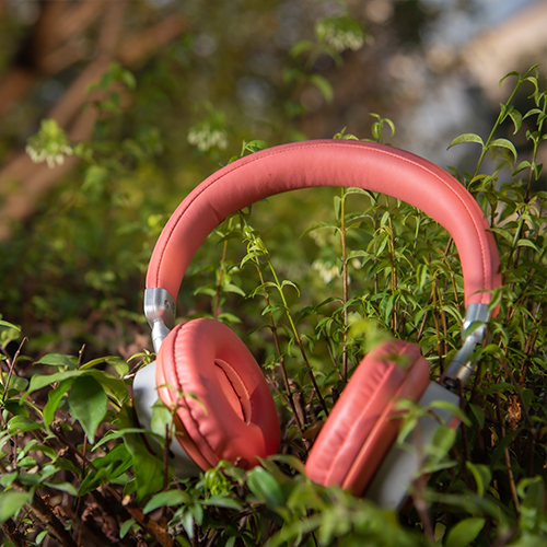 podcast over wandelen sigrid zwerft